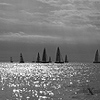 Barcolana 2011 - Foto n. 101