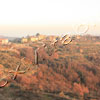 Istria