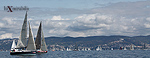 Barcolana 2011 - Foto n. 010