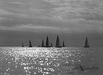 Barcolana 2011 - Foto n. 101