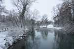 Neve