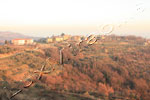 Istria