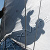 Vela Vela